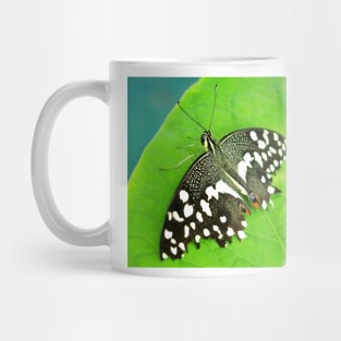 Spotted Butterfly Mug